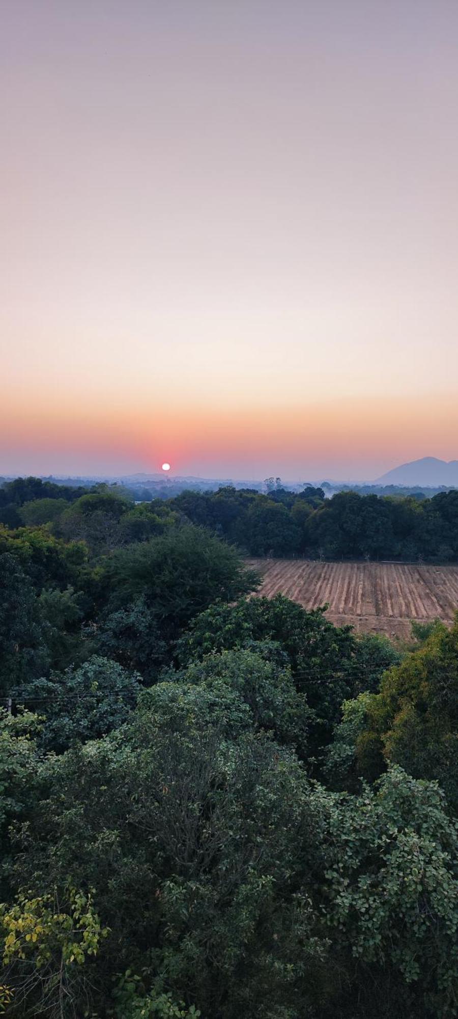 The Secret Garden Bed and Breakfast Pushkar Buitenkant foto