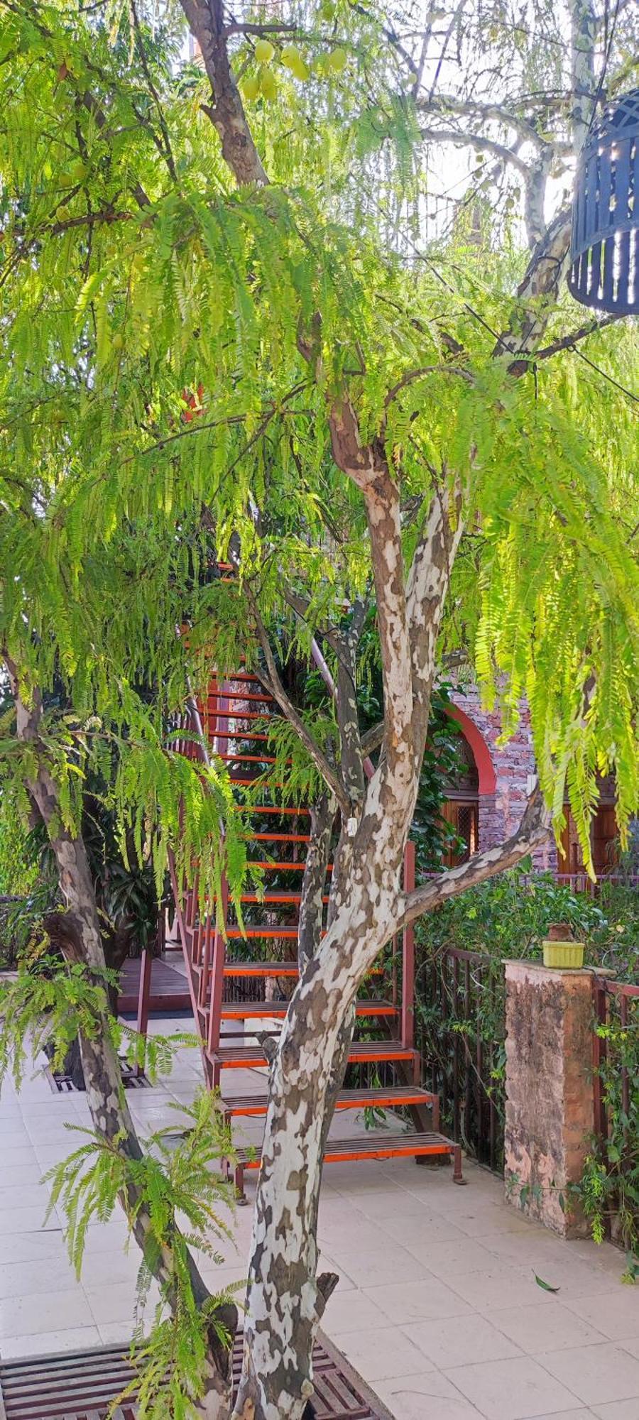 The Secret Garden Bed and Breakfast Pushkar Buitenkant foto