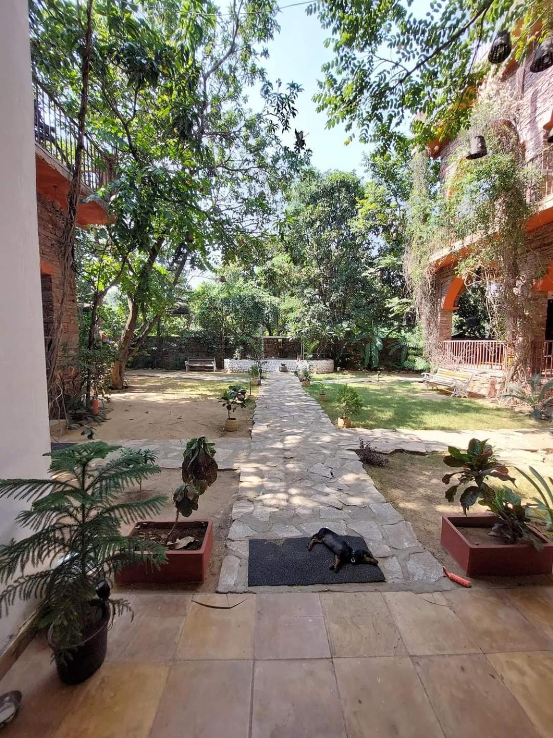 The Secret Garden Bed and Breakfast Pushkar Buitenkant foto