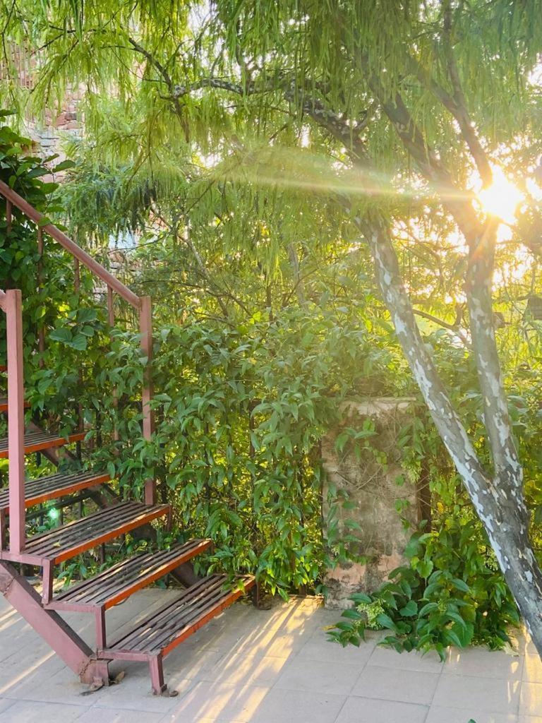 The Secret Garden Bed and Breakfast Pushkar Buitenkant foto