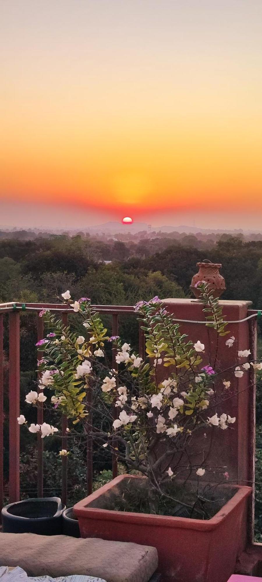 The Secret Garden Bed and Breakfast Pushkar Buitenkant foto
